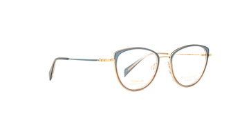 Okulary korekcyjne Ana Hickmann AH1480T-C01